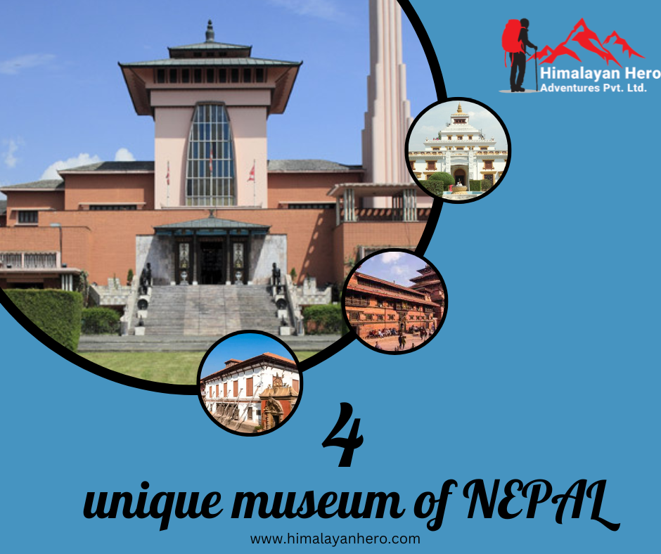 4 Unique Museum of Kathmandu and Where to Find Them